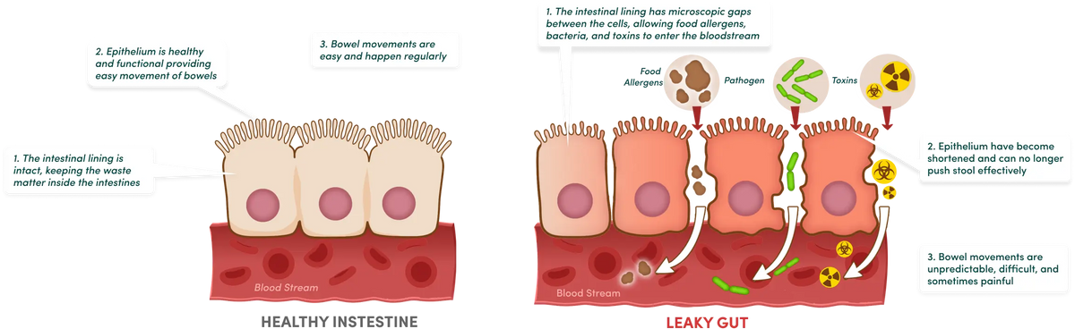 Enclave BioActives product information