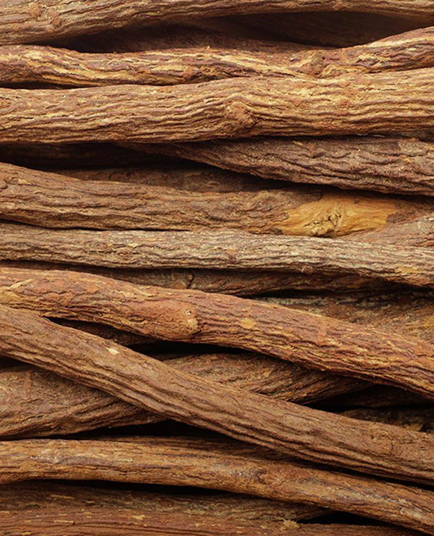 Licorice Root Extract