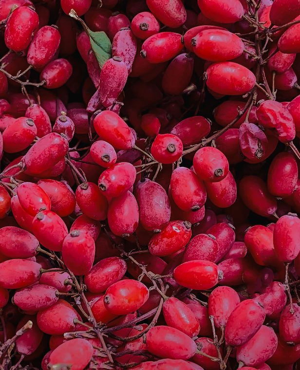 Berberine