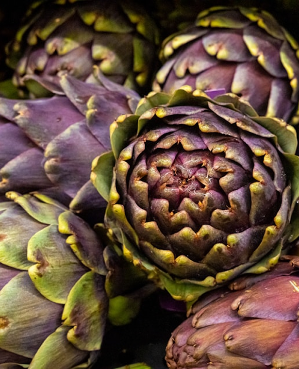 Artichoke Leaf 
