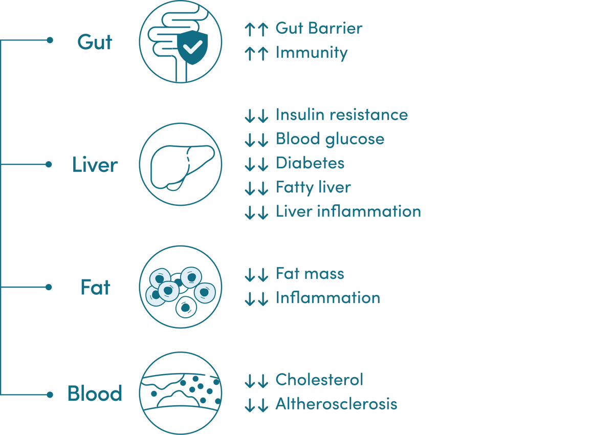 Enclave BioActives product information