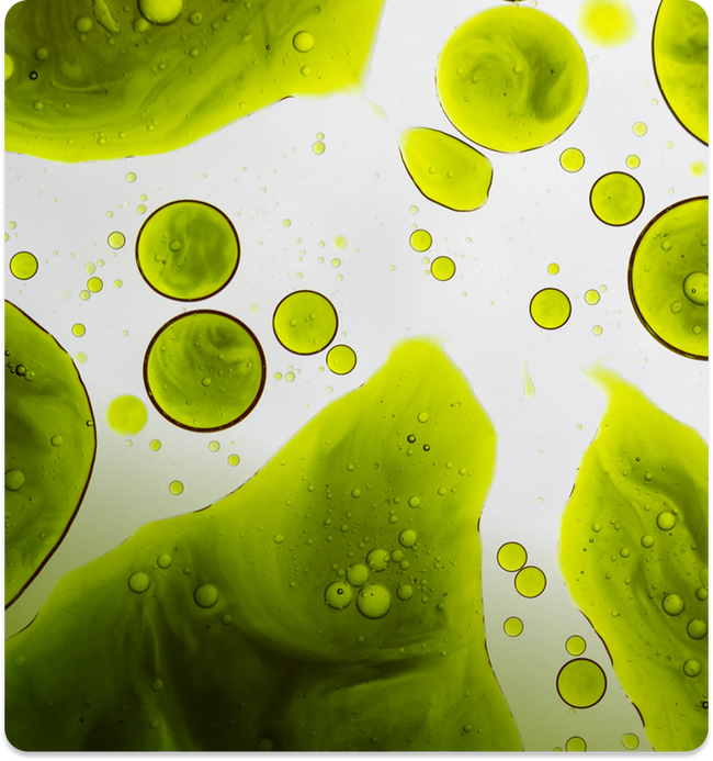 Enclave BioActives product information