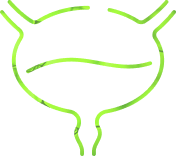 Enclave BioActives product information